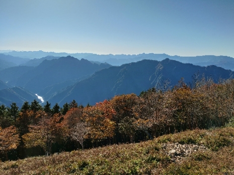 20191108000651821.jpg