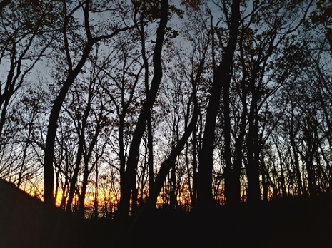 20191108001451251.jpg