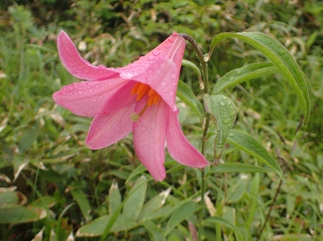 20200925164710114.jpg