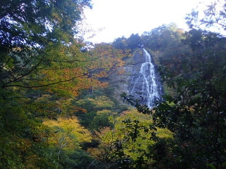 20201107003855819.jpg