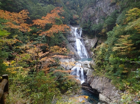 20201107004307235.jpg