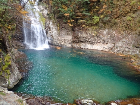 20201107004359631.jpg