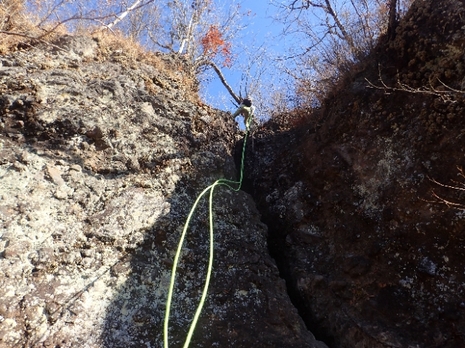 20201116130214181.jpg