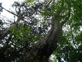 Dscf8773 Dscf8773