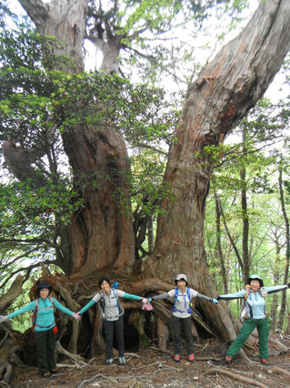 Dscf8774 Dscf8774